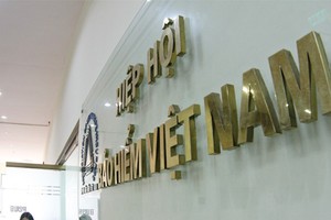 Hiệp hội Kl99kl phiên bản hoạt động Việt Nam - Cầu nối  phát triển